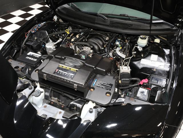 1999 Pontiac Firebird 2dr Convertible Trans Am - 23027904 - 1