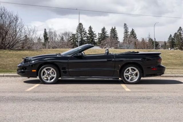 1999 Pontiac Firebird 2dr Convertible Trans Am - 23028777 - 9