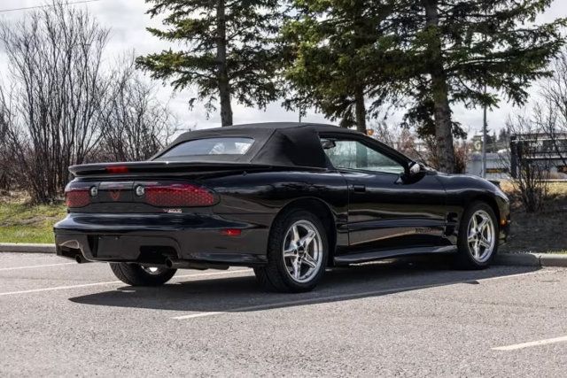 1999 Pontiac Firebird 2dr Convertible Trans Am - 23028777 - 10