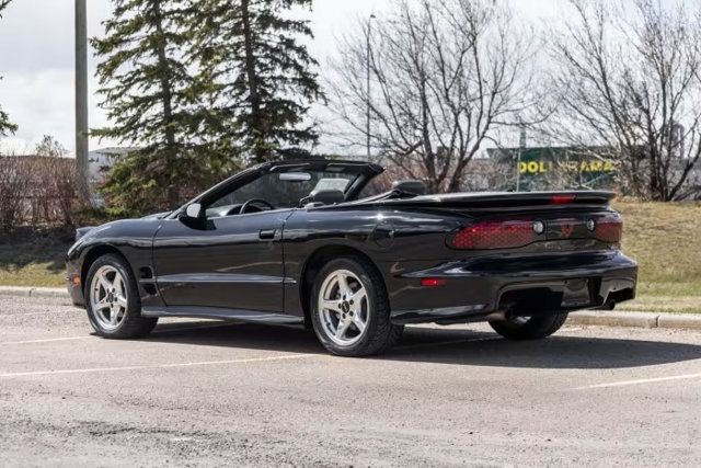 1999 Pontiac Firebird 2dr Convertible Trans Am - 23028777 - 11