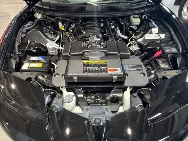 1999 Pontiac Firebird 2dr Convertible Trans Am - 23028777 - 16