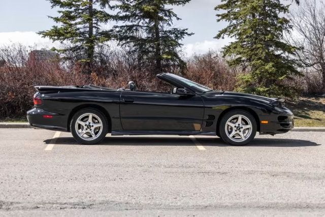 1999 Pontiac Firebird 2dr Convertible Trans Am - 23028777 - 1