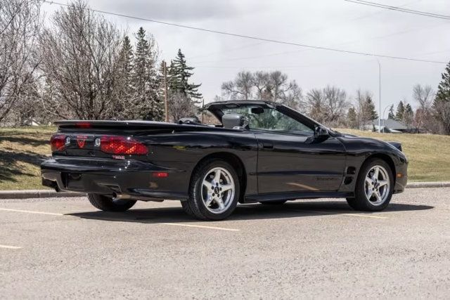 1999 Pontiac Firebird 2dr Convertible Trans Am - 23028777 - 2