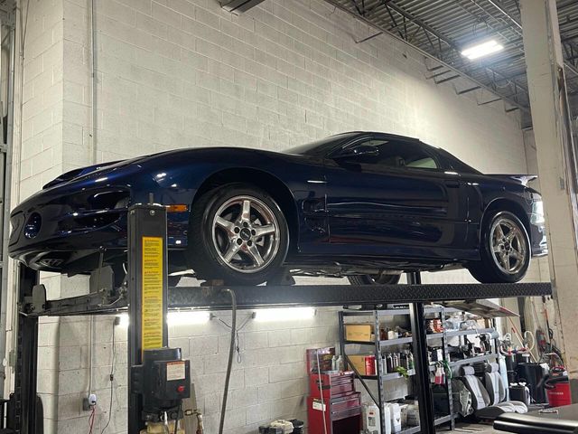 1999 Pontiac Firebird 2dr Coupe Trans Am - 22889940 - 59