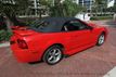 2001 Ford Mustang 2dr Convertible GT Deluxe - 22961913 - 48
