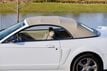 2001 Ford Mustang 2dr Convertible GT Deluxe - 22316435 - 70