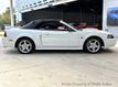 2001 Ford Mustang 2dr Convertible GT Deluxe - 23021450 - 21