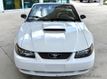 2001 Ford Mustang 2dr Convertible GT Deluxe - 23021450 - 2