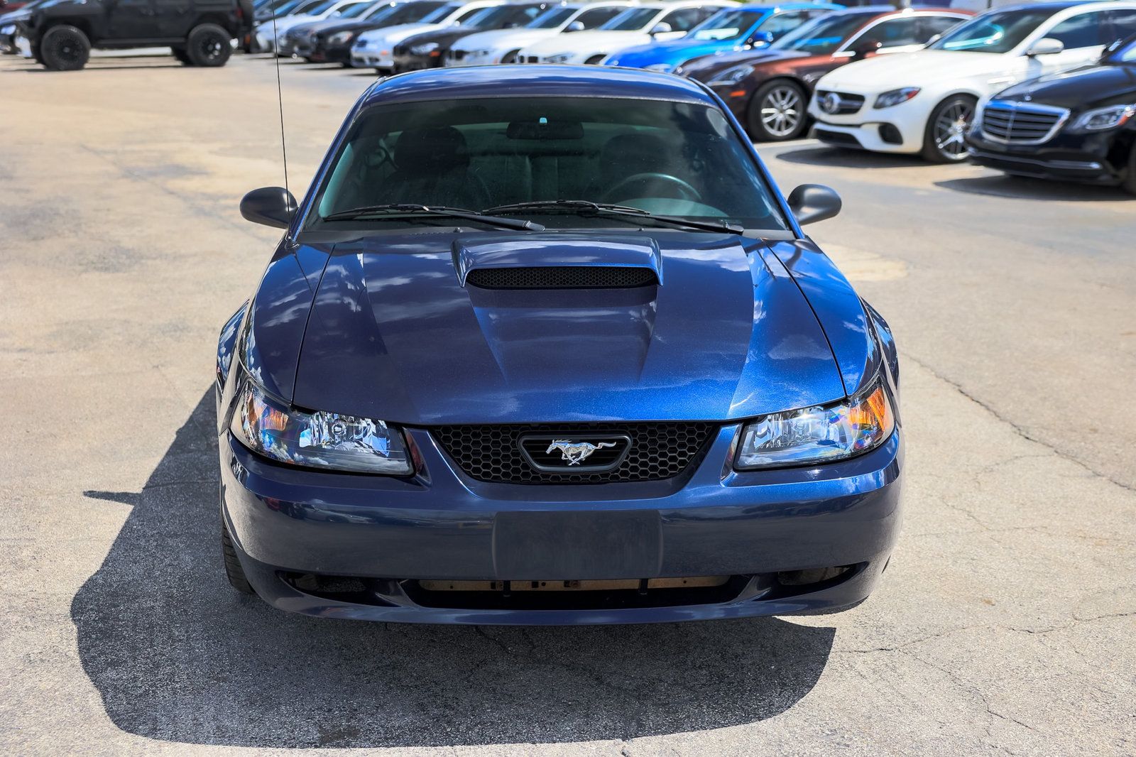 2001 Ford Mustang GT Bullitt photo 18
