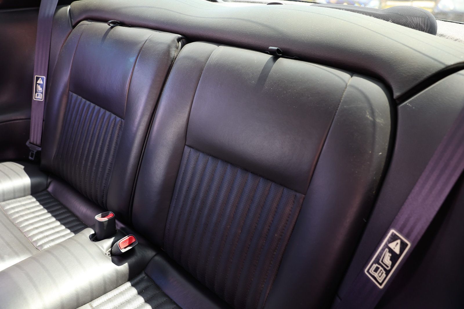 2001 Ford Mustang GT Bullitt photo 8
