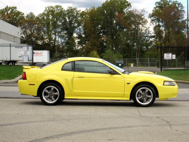 2001 Ford Mustang 2dr Coupe GT Premium - 22159101 - 11