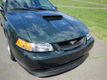 2001 Ford Mustang RARE GT *BULLITT- EDITION* 5-SPD, HIGHLAND-GREEN, EXTRA-CLEAN ! - 22368637 - 16