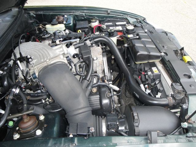 2001 Ford Mustang RARE GT *BULLITT- EDITION* 5-SPD, HIGHLAND-GREEN, EXTRA-CLEAN ! - 22368637 - 58