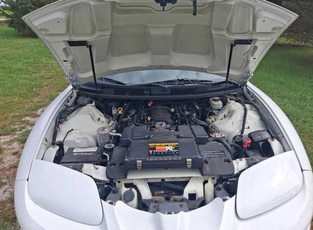 2001 Pontiac Firebird 2dr Coupe Trans Am - 23096058 - 7
