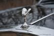 2001 Rolls-Royce Silver Seraph Concours Edition  - 22970753 - 23
