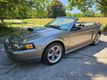 2002 Ford Mustang 2dr Convertible GT Deluxe - 23054664 - 64