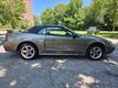 2002 Ford Mustang 2dr Convertible GT Deluxe - 23054664 - 7