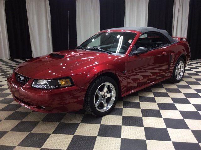 2003 Ford Mustang 2dr Convertible GT Deluxe - 22404968 - 2