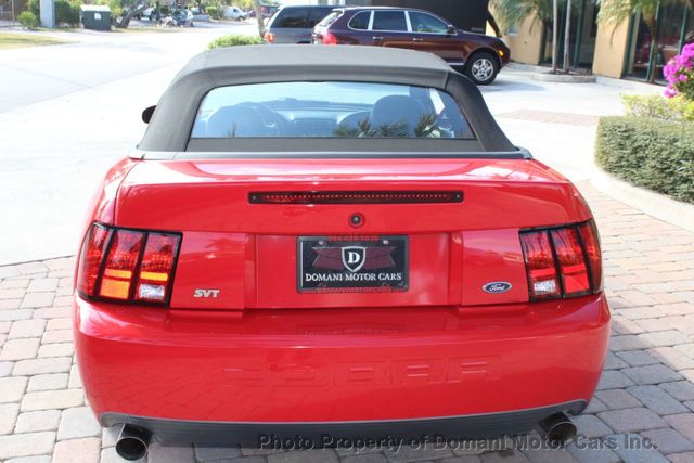 2003 Ford Mustang Mustang SVT Cobra Convertible  - 20556471 - 42
