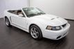 2003 Ford Mustang SVT Cobra - 22341472 - 1