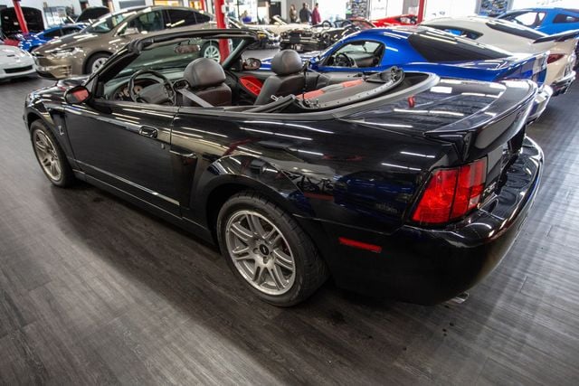 2003 Ford Mustang SVT Cobra - 22672634 - 2