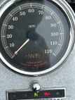 2003 Harley Davidson Road King Silver Stripe Annive - 23033722 - 4
