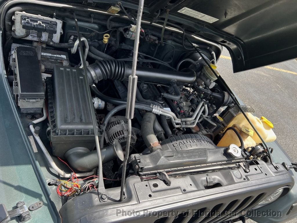 2003 Jeep Wrangler Sahara 4X4 4.0L - 22861492 - 42