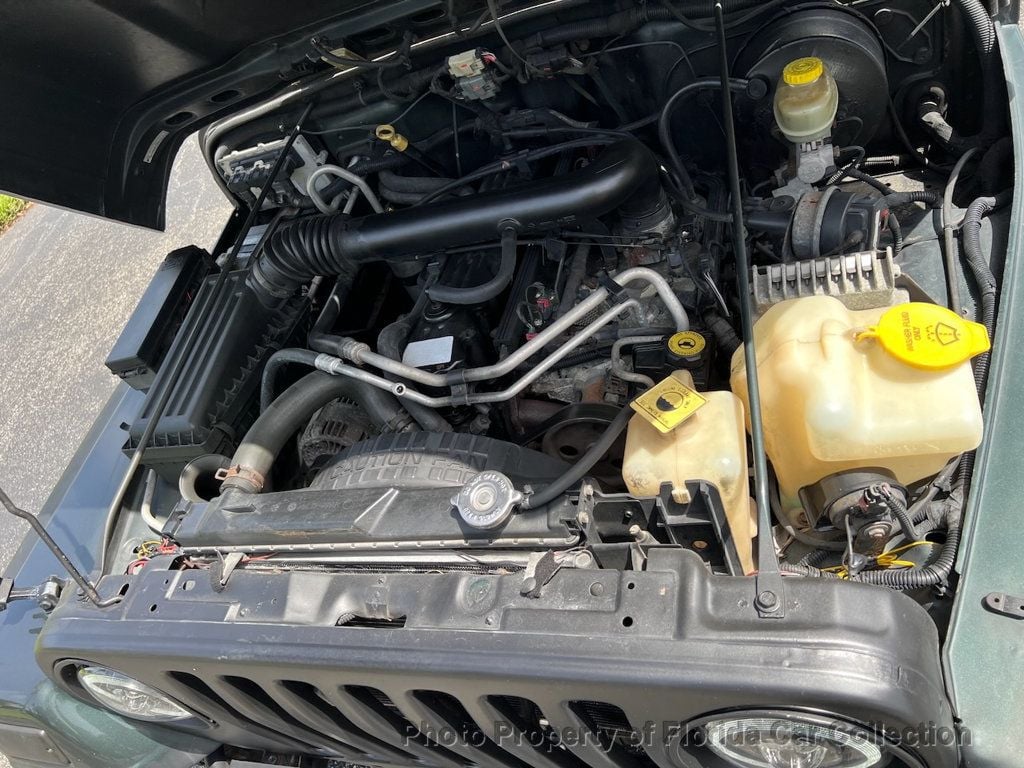 2003 Jeep Wrangler Sahara 4X4 4.0L - 22861492 - 43