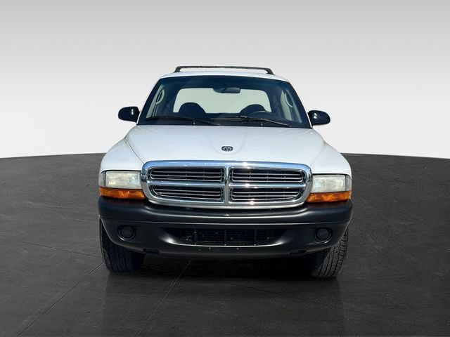 2004 Dodge Dakota Sport - 23024087 - 8