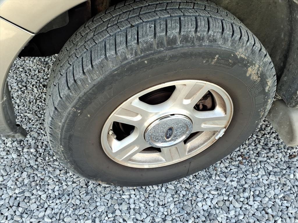 2004 Ford Expedition 5.4L Eddie Bauer - 22969482 - 5