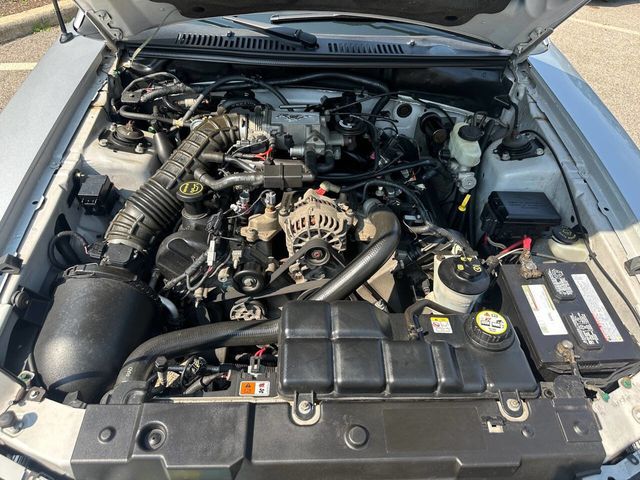 2004 Ford Mustang 2dr Convertible GT Deluxe - 22536888 - 9