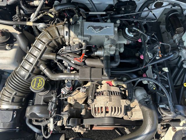 2004 Ford Mustang 2dr Convertible GT Deluxe - 22536888 - 17