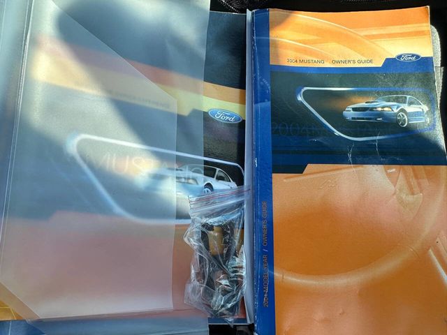 2004 Ford Mustang 2dr Convertible GT Deluxe - 22536888 - 24
