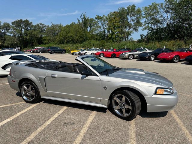 2004 Ford Mustang 2dr Convertible GT Deluxe - 22536888 - 44