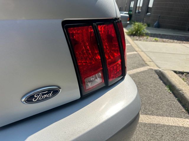 2004 Ford Mustang 2dr Convertible GT Deluxe - 22536888 - 48