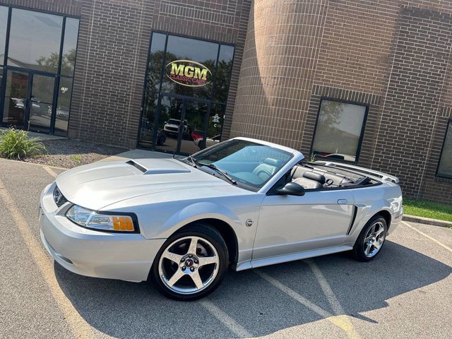 2004 Ford Mustang 2dr Convertible GT Deluxe - 22536888 - 55