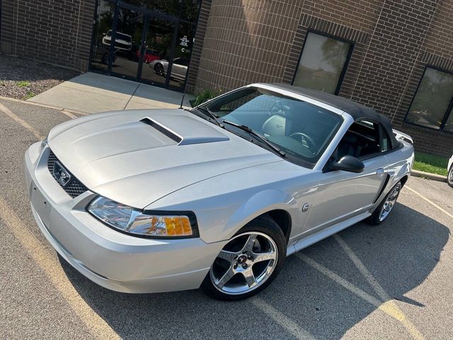 2004 Ford Mustang 2dr Convertible GT Deluxe - 22536888 - 8