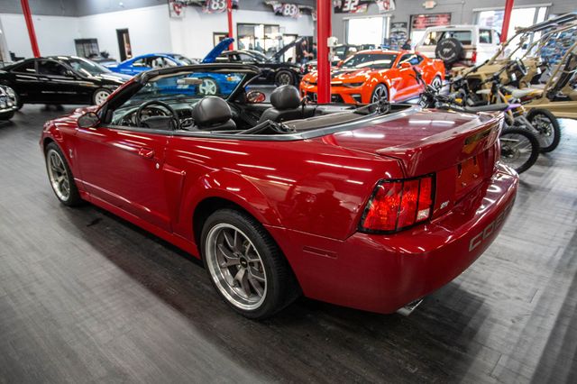 2004 Ford Mustang 2dr Convertible SVT Cobra - 22974962 - 2