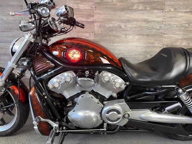 2004 Harley-Davidson VRSCB V-Rod SUPER CLEAN! - 23040611 - 12