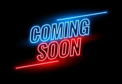 2005 BIG DOG BULLDOG