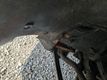 2006 Chevrolet Silverado 1500 CLEAN CARFAX - 23097066 - 73