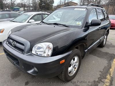 2006 Hyundai Santa Fe - KM8SC73D96U043868