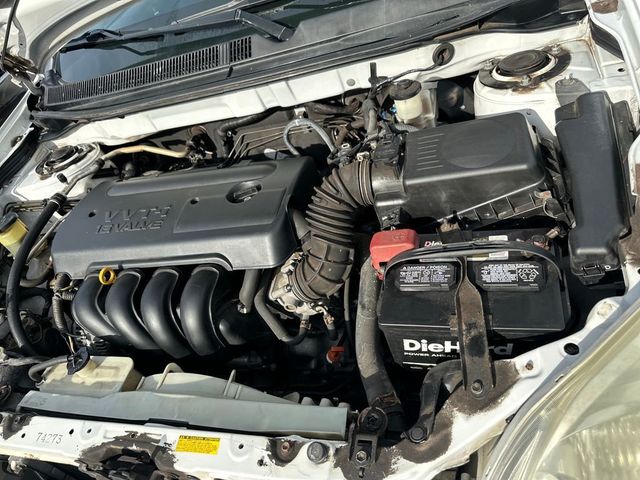 2006 Toyota Matrix Base Trim - 23055193 - 18