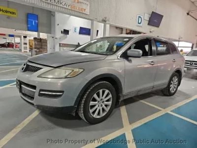 2007 Mazda CX-9 - JM3TB38Y170102248