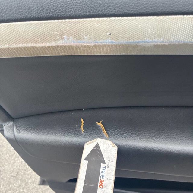 2008 Audi Q7 quattro 4dr 3.6L - 22959742 - 26