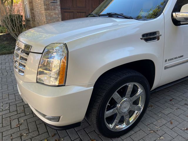 2008 Cadillac Escalade AWD 4dr - 20665414 - 21