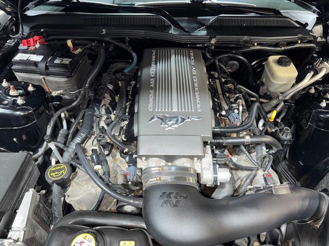 2008 Ford Mustang 2dr Coupe GT Premium - 22851148 - 5