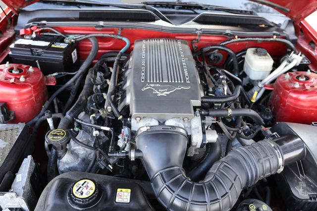 2008 Ford Mustang MANUAL TRANS, NO ACCIDENTS, CONVERTIBLE, LEATHER, SPOILER!!! - 22840780 - 35