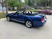 2008 Ford Mustang Shelby GT For Sale - 22398046 - 7