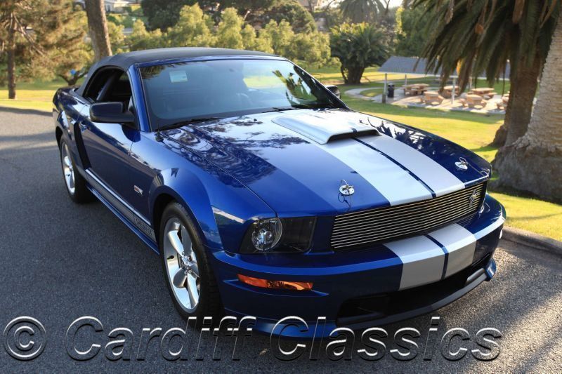 2008 Shelby GT350 Automatic - 6990211 - 14